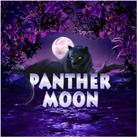 Panther Moon